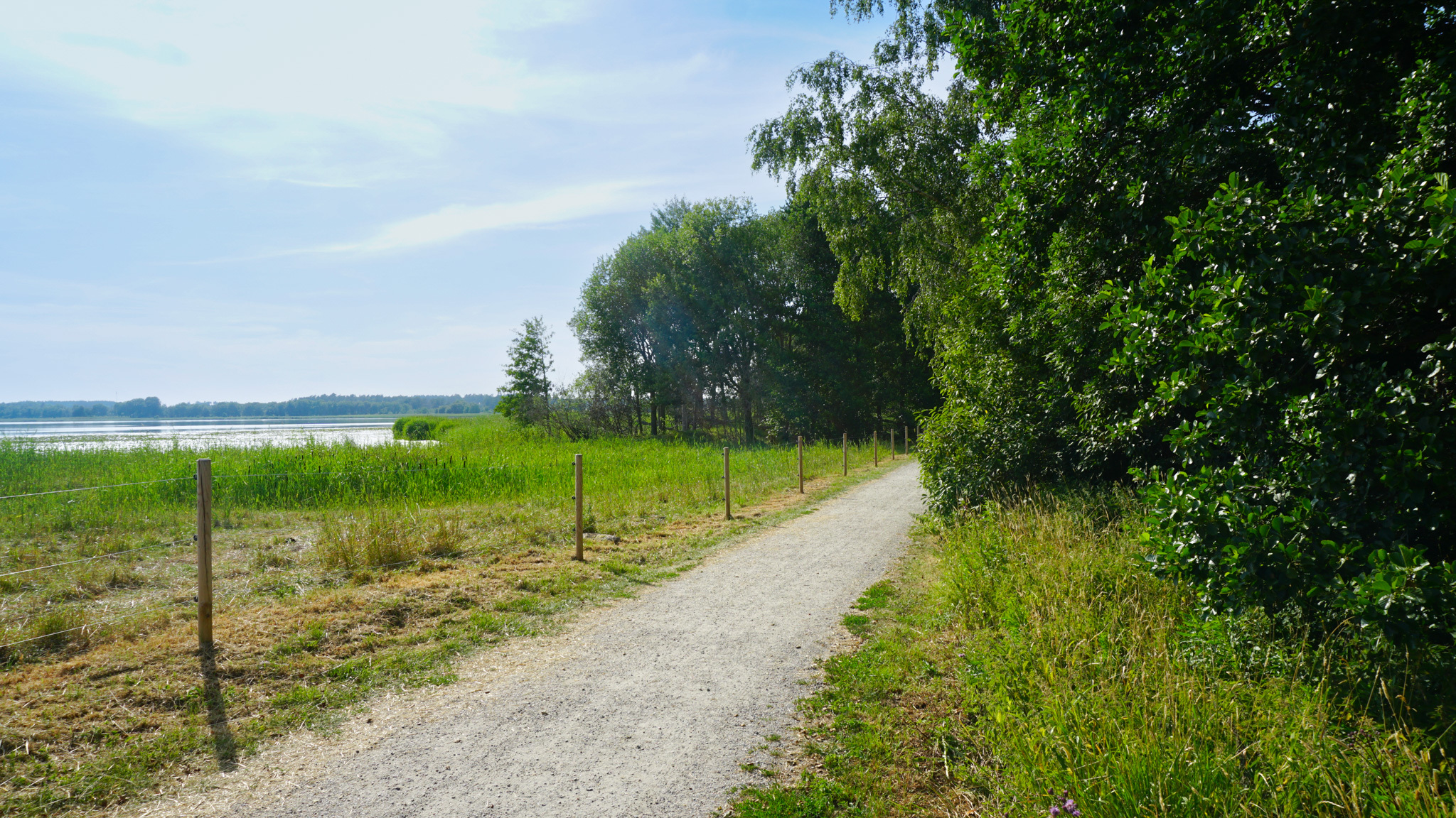 Bersån redigerade